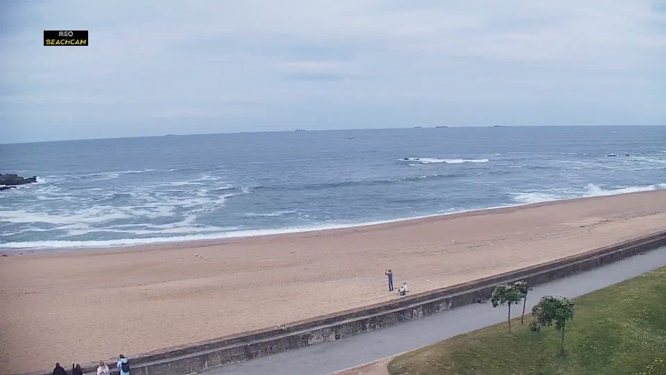 Aldoar, Foz do Douro e Nevogilde