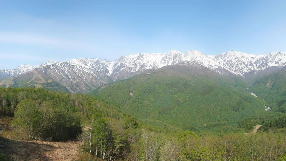 Donguri