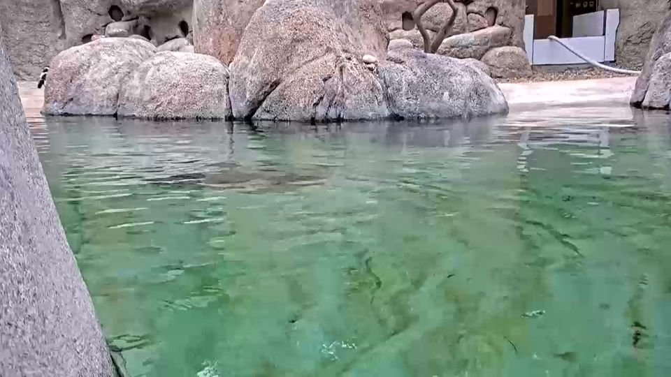 San Diego