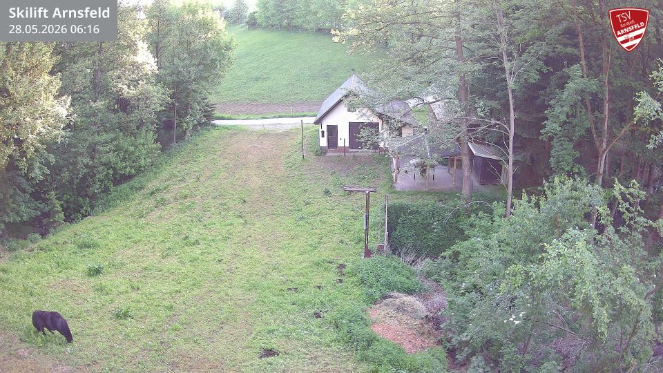 Mildenau