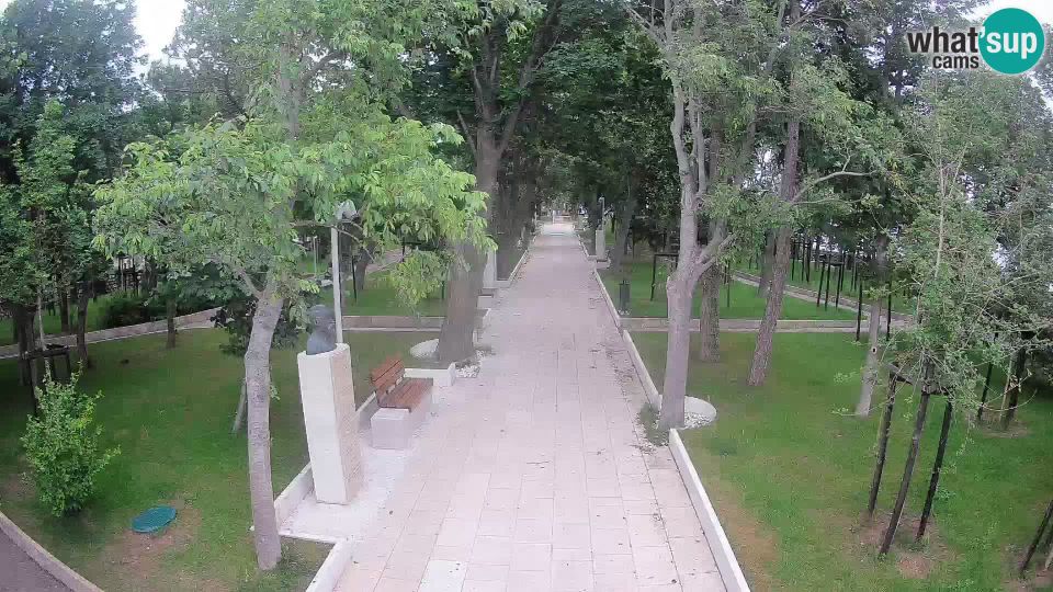 Senj