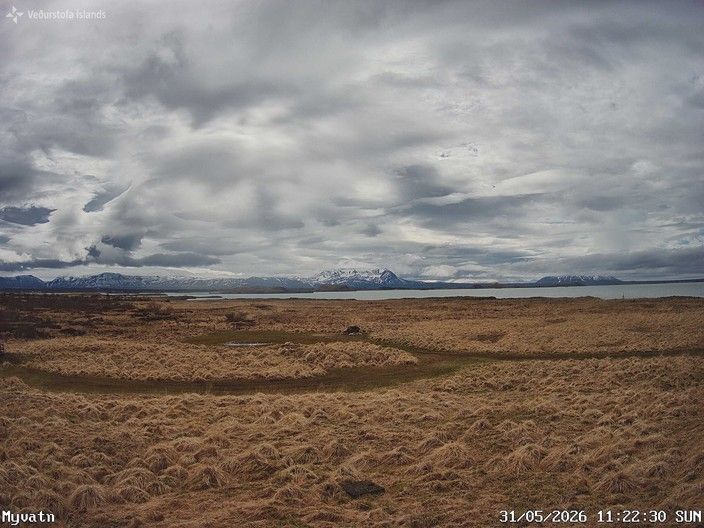 Vogar: Mývatn