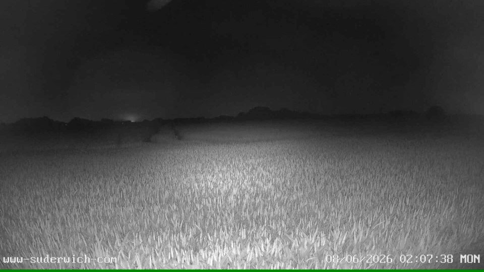 Recklinghausen › West