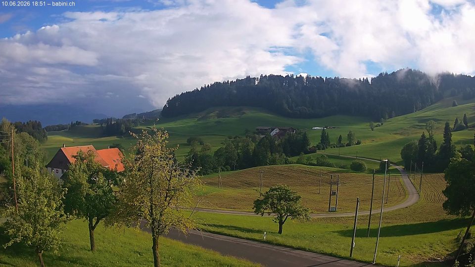Baretswil › South: Ghochstrasse - Auen - Leestrasse
