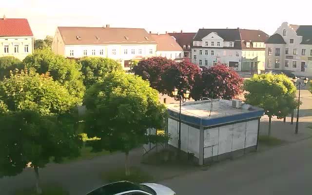 Gvardeysk