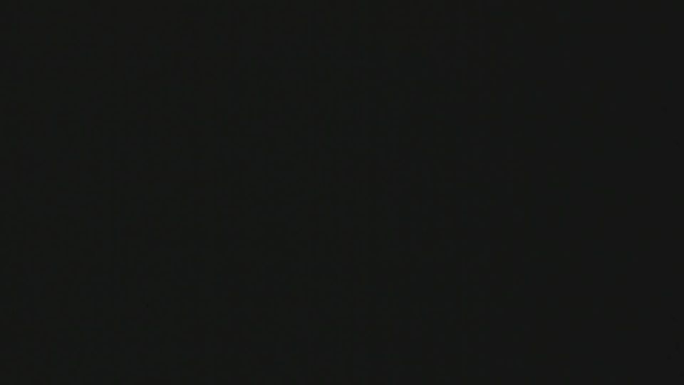 Bisaurri