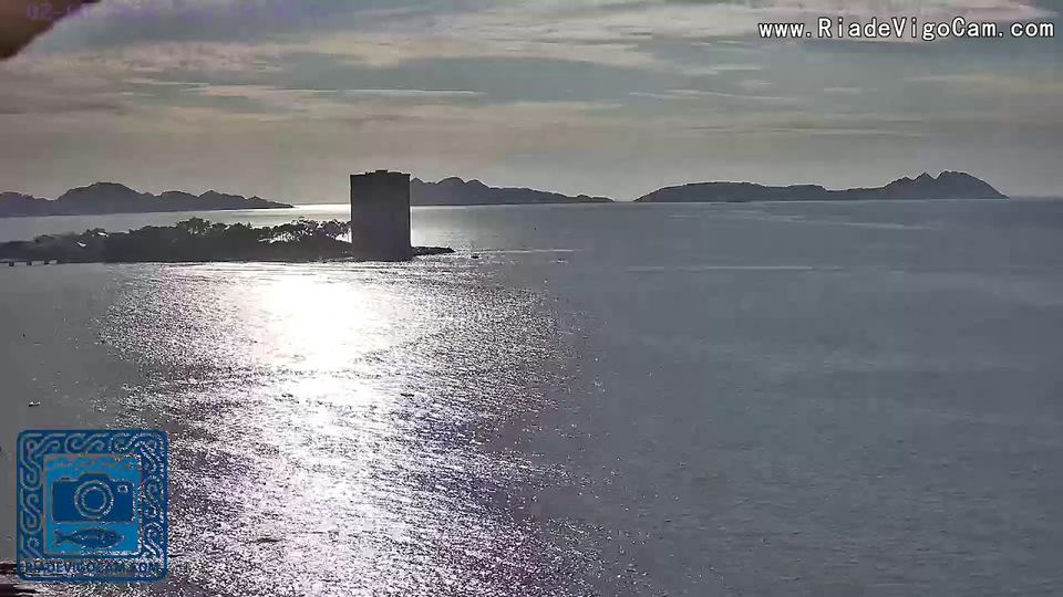 Vigo
