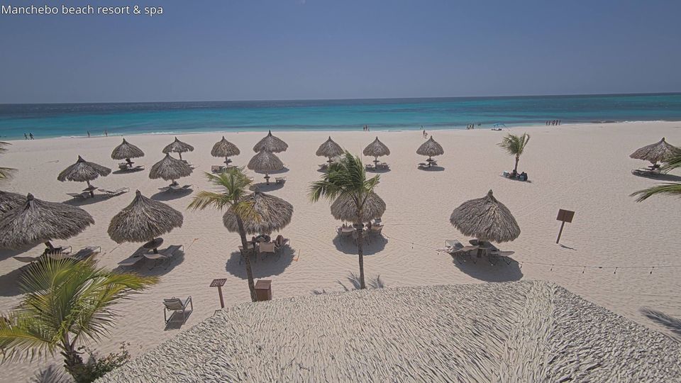 Oranjestad › West: Manchebo Beach