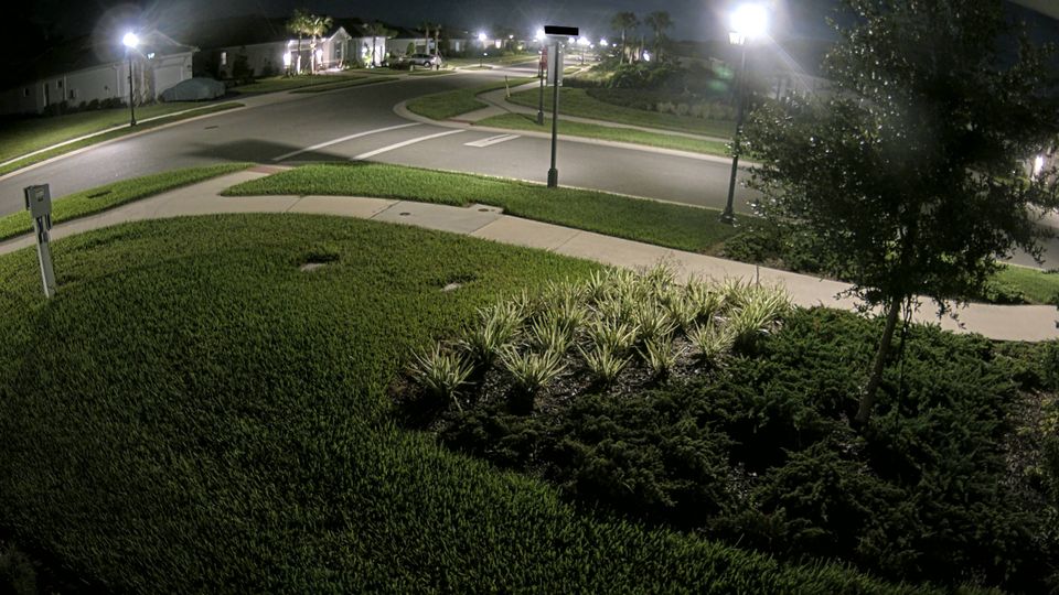 Wesley Chapel › South