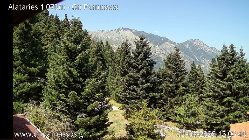 Municipal Unit of Parnassos › North-west: Parnassus