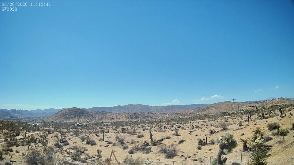 Joshua Tree
