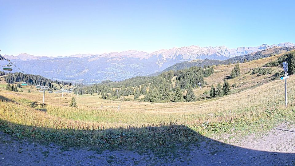 Morillon