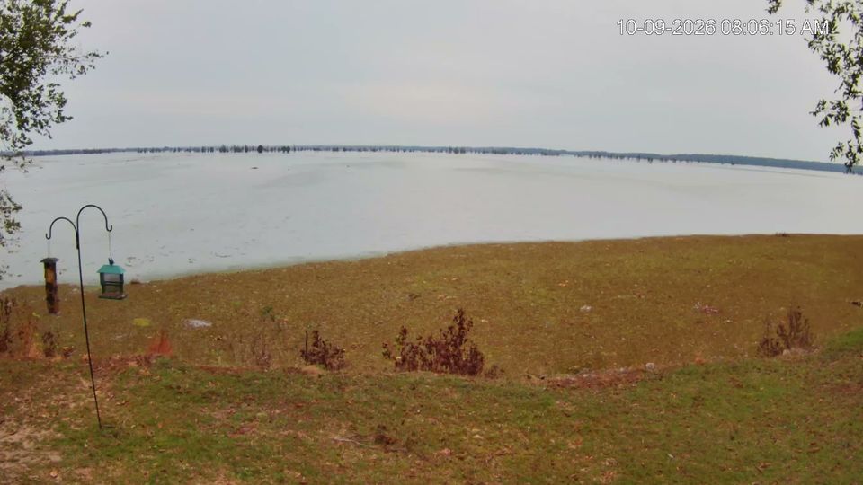 Partersville › North-east: Lake Marion