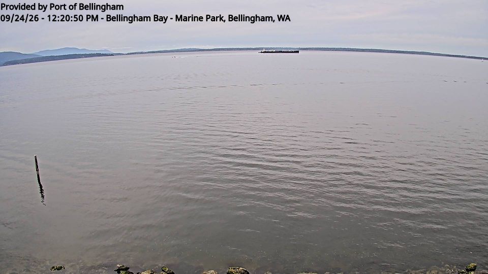 Bellingham