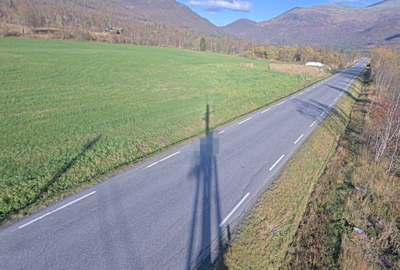 Kjellstadlia