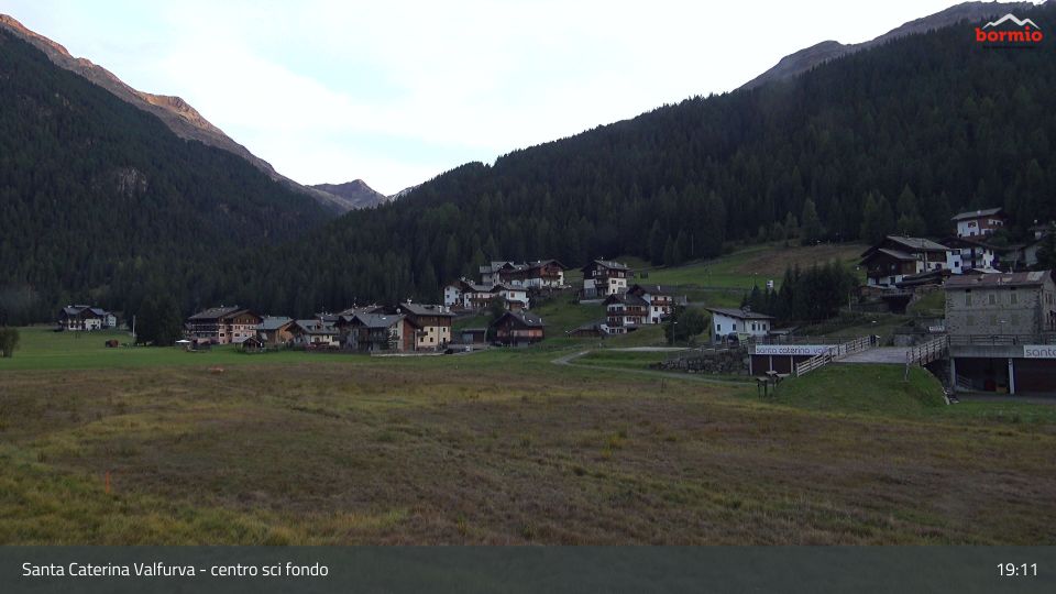 Valfurva