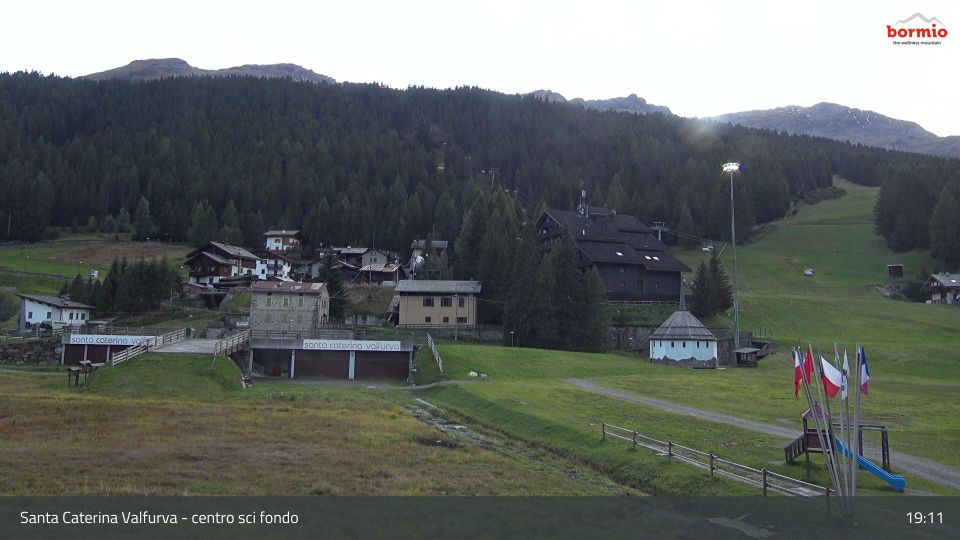 Valfurva