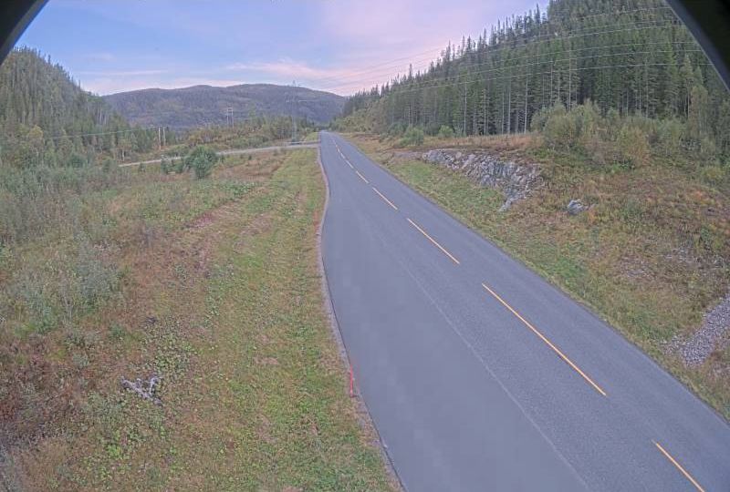 Stoen: Hogsdalen