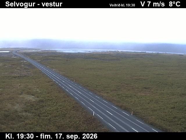 Þorlákshöfn: Selvogur