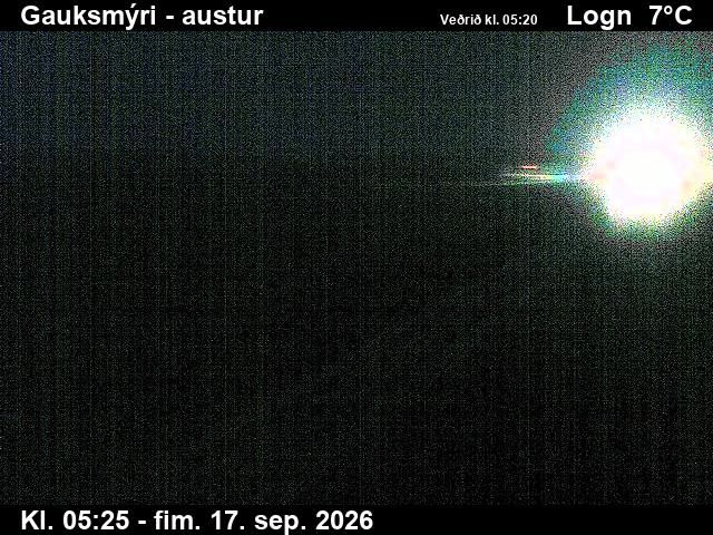 Hvammstangi: Gauksmýri