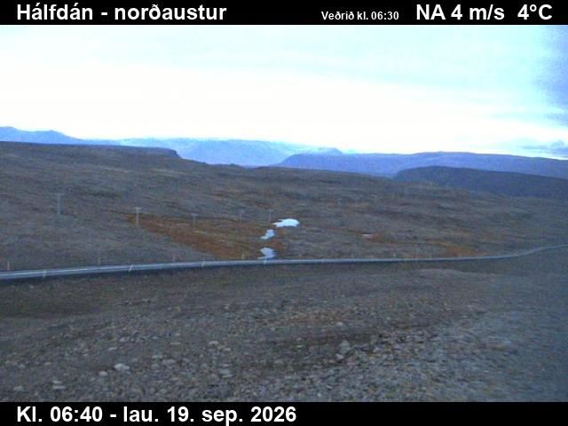 Tálknafjörður: Hálfdán