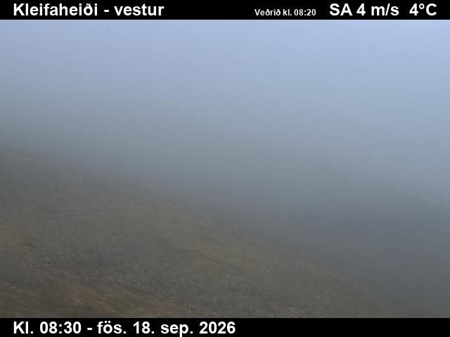 Patreksfjorur: Kleifaheiði
