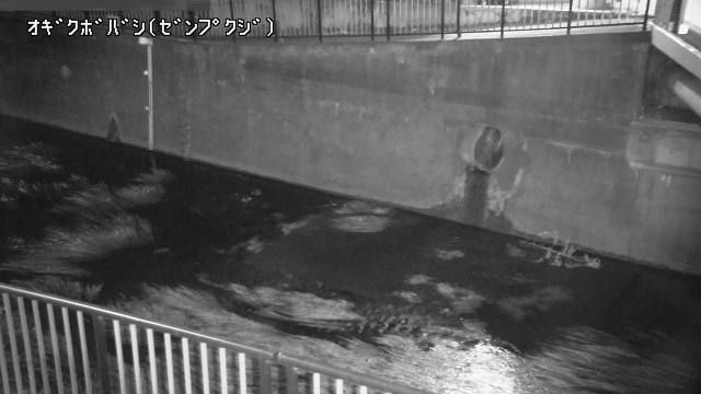 Ogikubo 5 › South: 荻窪橋 - Zenpukuji River