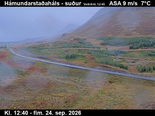 Dalvik: Hámundarstaðaháls