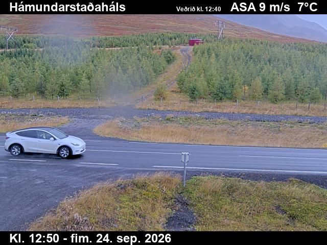 Dalvik: Hámundarstaðaháls