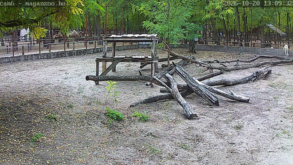 Felsolajos