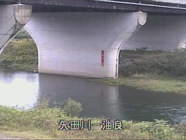 unknown