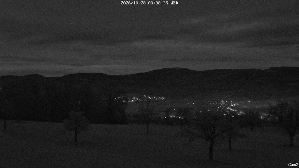Dittingen