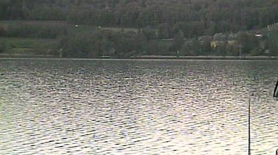 Beinwil am See: Hallwilersee Ost 2