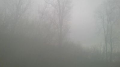 Wohlen bei Bern › North: Ittigen