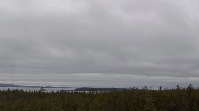 Winter Harbor: Frenchman Bay