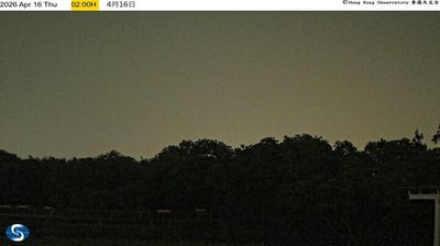 楊屋新村: Wetland Park