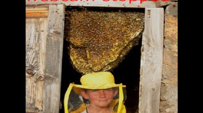 Live webcam in Garafia, Spanien