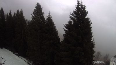 Piatto: Bielmonte, vista verso la valle