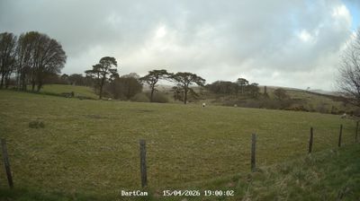 Postbridge: Dartmoor