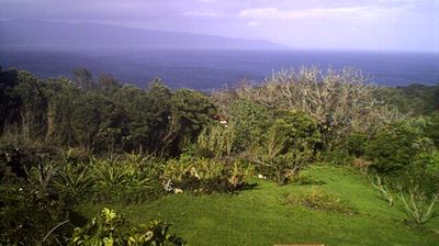 Live webcam in Piedade, Portogallo