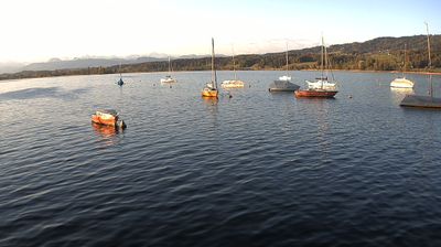 Uster › Sud: Greifensee