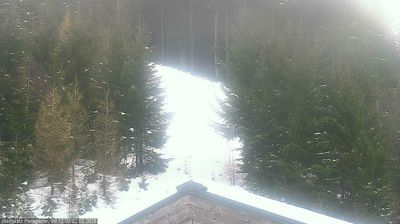 Abtenau: Skigebiet Karkogel - Lammertal - Salzburg - Bild 2 - Karkogel Rennstrecke