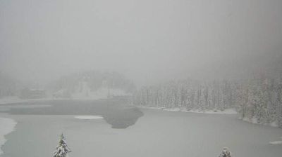Auronzo di Cadore: Lago di Misurina
