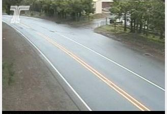 Live webcam in 디트로이트, 미국