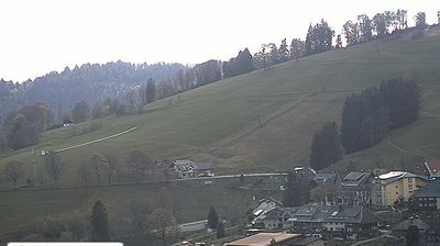 Live webcam in Todtnauberg, آلمان