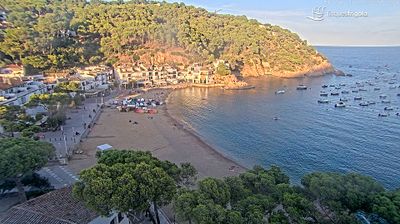 Palafrugell › North-east: Tamariu Beach
