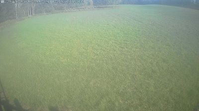 Tsuruihigashi 5-chome: Tsurui, feeding plot of Japanese crane