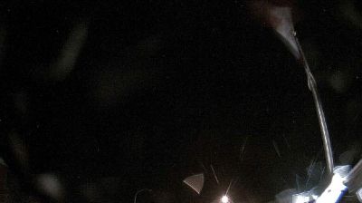 Fraser › Sud: true