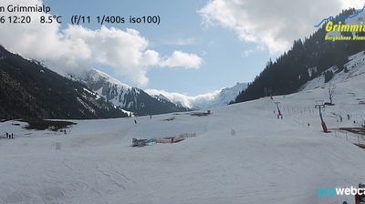 Grimmialp: Diemtigtal