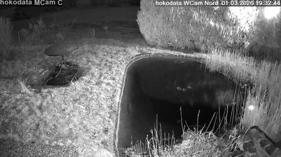 Langelsheim: Wolfshagen - Nordblick